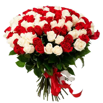 Купить 51 российскую розу с доставкой в Жуковском и Раменском