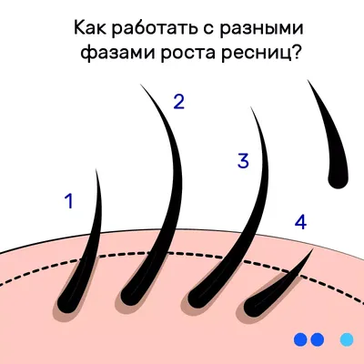 Купить Minox Maxlash - Сыворотка для роста ресниц, 3 мл ➤ Lucy.org.ua