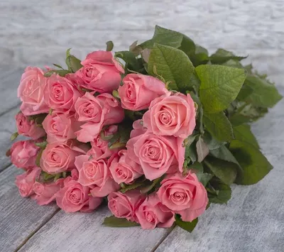 Букет из 51 розовой розы Анна Карина 100 см купить в Москве - цена 11 700  руб c бесплатной доставкой ✿ Интернет-магазин Bella Roza