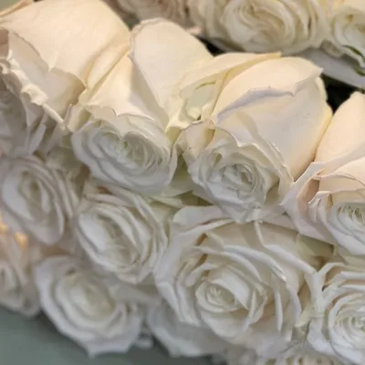 Букет 21 белая роза - заказ и доставка в Челябинске