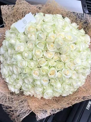 Купить Роза «Белая» из каталога Белые розы в Сыктывкаре - «Флориска».