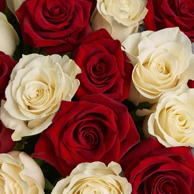 Букет из 15 белых роз 70 см заказать с доставкой в Челябинске - салон «Дари  Цветы»