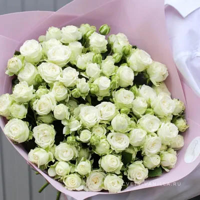 Букет 51 эквадорская роза 60 см - купить в Омске в цветочной мастерской  Лаванда