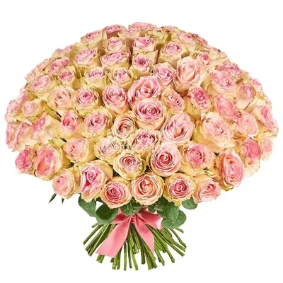 Купить саженцы Дольче Вита 2000 розы с доставкой по России - Магазин  саженцев Gardenson