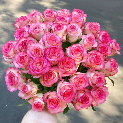 Купить Букет цветов «Джамиля 19» в Москве недорого с доставкой