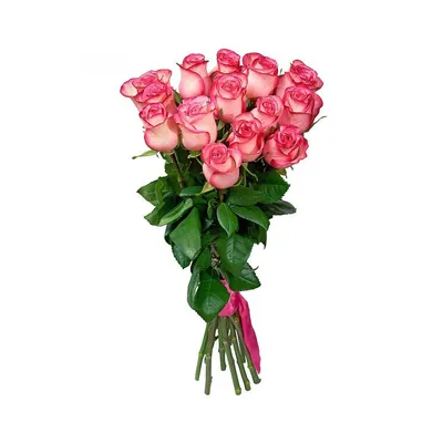 Безумно красивые розы Джамиля😍 🚀 Доставка в течении часа 📱Тел./WA:  8-988-864-70-70 💌 Direct 📺Выбор букета по видеосвязи 📍г.… | Instagram