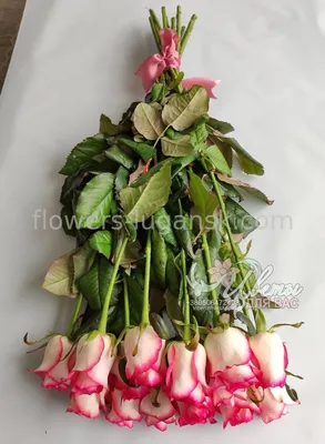 Роза джамиля россия 50 см, артикул F1186369 - 3068 рублей, доставка по  городу. Flawery - доставка цветов в