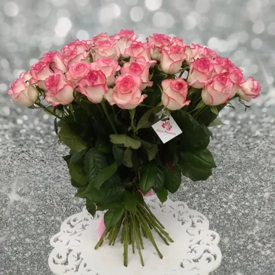 Дом цветов - Прекрасная двухцветная Роза Джамиля словно специально создана  для самых романтичных подарков. Ее нежные светлые лепестки имеют  ярко-розовые края. Необычная окраска розы Джамиля напоминает трогательный  румянец. Букет из этих чудесных