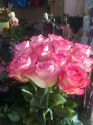 Букет из 15 роз \"Джамиля-2\" | Доставка цветов в Анапе