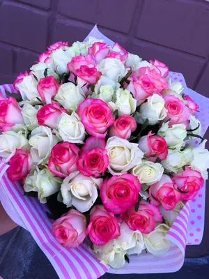Роза Джамиля, Цветы и подарки в Санкт-Петербурге, купить по цене 300 RUB,  Цветы поштучно в КОФЕЙНЫЙ ЦВЕТОК с доставкой | Flowwow
