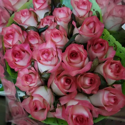 51 роза Аваланш+Джумилия • Склад цветов