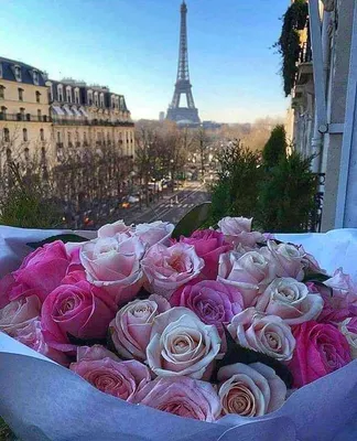 Розы, старинные французские открытки и сувенирная Эйфелева башня стоковое  фото ©LiliGraphie 56533253
