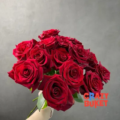 Royal Explorer Red Rose Variety - EbloomsDirect – Eblooms Farm Direct Inc.