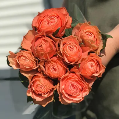 51 пионовидная роза Кахала | доставка по Москве и области