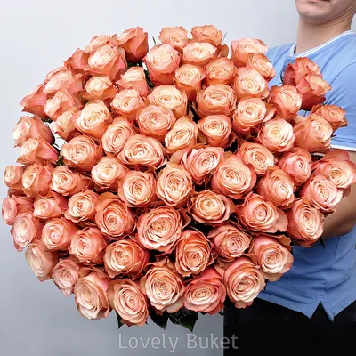 51 Голландская роза \"Кахала\" 90 см купить с доставкой по Краснодару