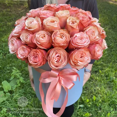 Kahala Garden Roses - Bulk Order- 60-70CM