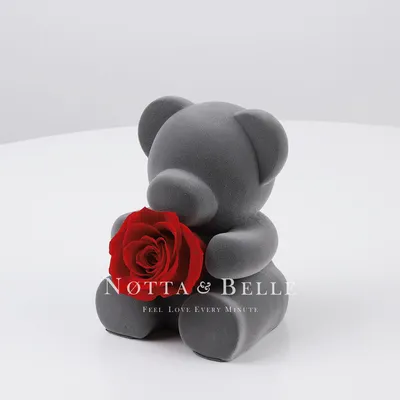 Мишка с розой в стеклянной колбе с подсветкой купить по низким ценам в  интернет-магазине Uzum (292486)