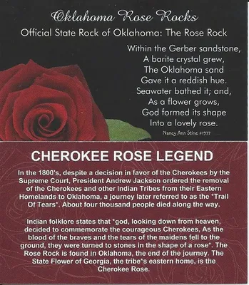 Roses in Oklahoma | TLC Garden Centers
