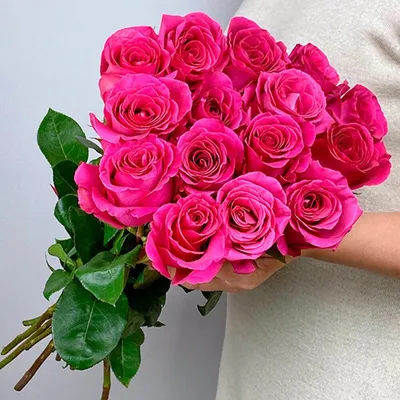 Купить розы Пинк Флойд в СПб ✿ Оптовая цветочная компания СПУТНИК