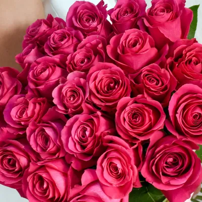 Доставка роза пинк флойд 60 см по Караганде - Арт-букет