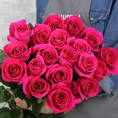Розы Пинк Флойд (Букет из 25, 51,101 розы)