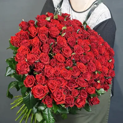 Роза Престиж L8 купить с доставкой в Украине | Розы (украина) в интернет  магазине Шарм24