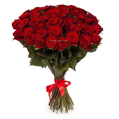 А) 101 Роза \"Престиж\" 80 см и скидки в интернет магазине цветов Роз Новоросс
