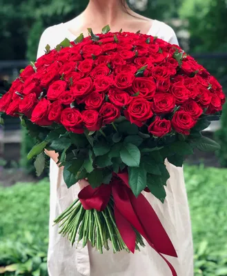 Букет из 51 красной розы Престиж купить недорого с доставкой по Днепру в ➔  flowers-store.com.ua
