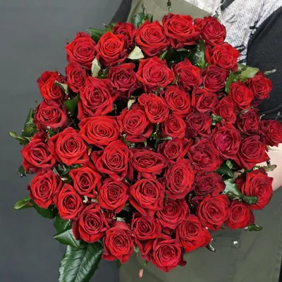А) 51 Роза \"Престиж\" 80 см и скидки в интернет магазине цветов Роз Новоросс