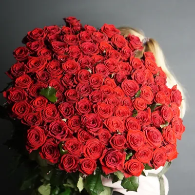 Rose Prestige to buy in Kharkov | Delivery of roses in Kharkov