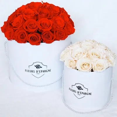 Elegance in Prestige Rose Bucket – fleursdepargne
