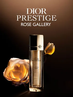 File:Rose Prestige de Lyon 20070601.jpg - Wikimedia Commons