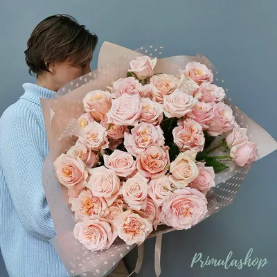 Роза Шиммер (персик) | Магазин цветов с доставкой в Минске