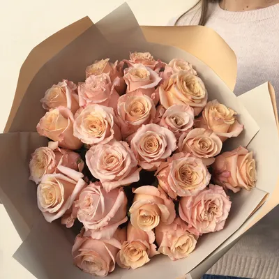 Роза Шиммер - заказать и купить цветы с доставкой | Donpion