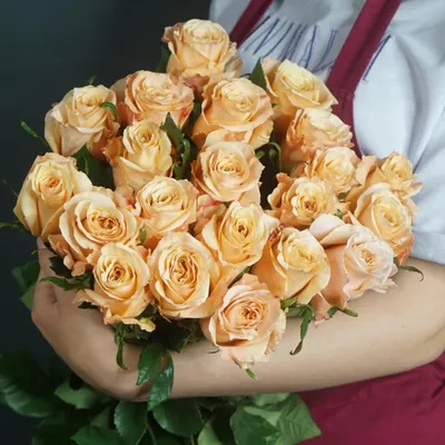 Нежная роза Шиммер | Магазин цветов с доставкой в Минске