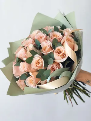Купить Французская роза Шиммер 60 см в Минске с доставкой на Kvetki Shop