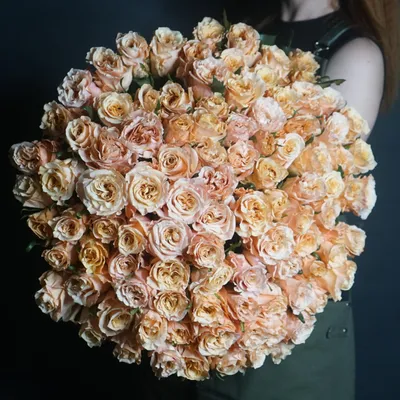Роза Шиммре купить в Москве с доставкой | Интерент-магазин цветов  dakotafora.com