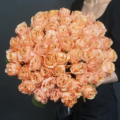 Пионовидные розы Шиммер поштучно | купить недорого | доставка по Москве и  области