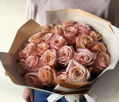 Роза Шиммер - заказать и купить цветы с доставкой | Donpion