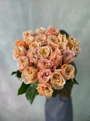 А) 51 Роза \"Шиммер\" 50 см (Эквадор) (Премиум) и скидки в интернет магазине  цветов Роз Новоросс