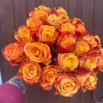 Купить эквадорские розы Силантой в СПб | Оптовая цветочная компания СПУТНИК