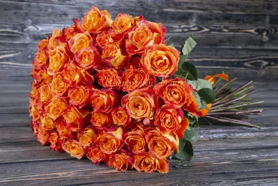 Розарий «Розы Вдохновения» on Instagram: \"Силантой, Silantoi Rose,  Чайно-гибридные, срезочные, Нидерланды Описание редкий и необычный сорт роз  с удивительной красно-оранжевой окраской. Бутон при раскрытии достигает  10-12 см, в высоту до 7 см.