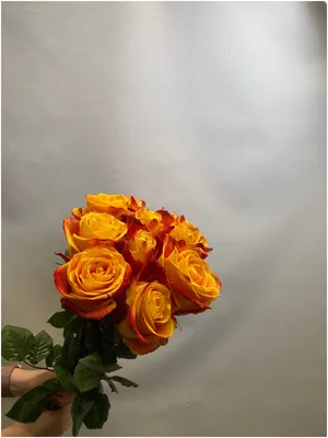 Купить розы и букет роз в Саратове - российская, эквадорская, кенийская роза