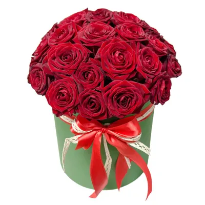 Купить саженцы София Ренессанс (Sophia Renaissance) розы с доставкой по  России - Магазин саженцев Gardenson