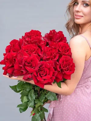 Купить роза софи лорен с доставкой на дом в магазине SPAR