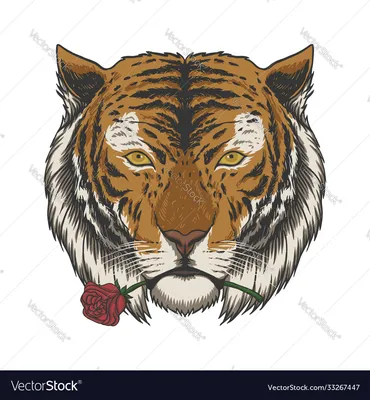 Розы Красный Тигр (Red Tiger)