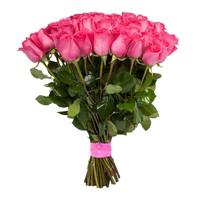 Topaz Roses | Wholesale Ecuadorian Roses | Native Blooms