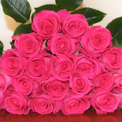 Topaz Roses - Florabundance Wholesale Flowers