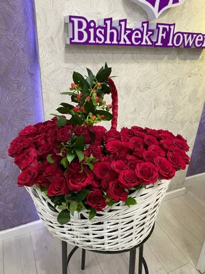 Роза Caesar (Цезарь) – купить саженцы роз в питомнике в Москве