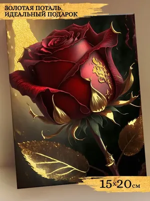 Саженцы Почвопокровной розы Сорта Санни Роуз (Sunny Rose) - Розы Почтой 23